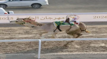 مهرة ومهدي يثبتان تفوقهما في سباقات الظفرة للهجن وينالان رموز اللقايا